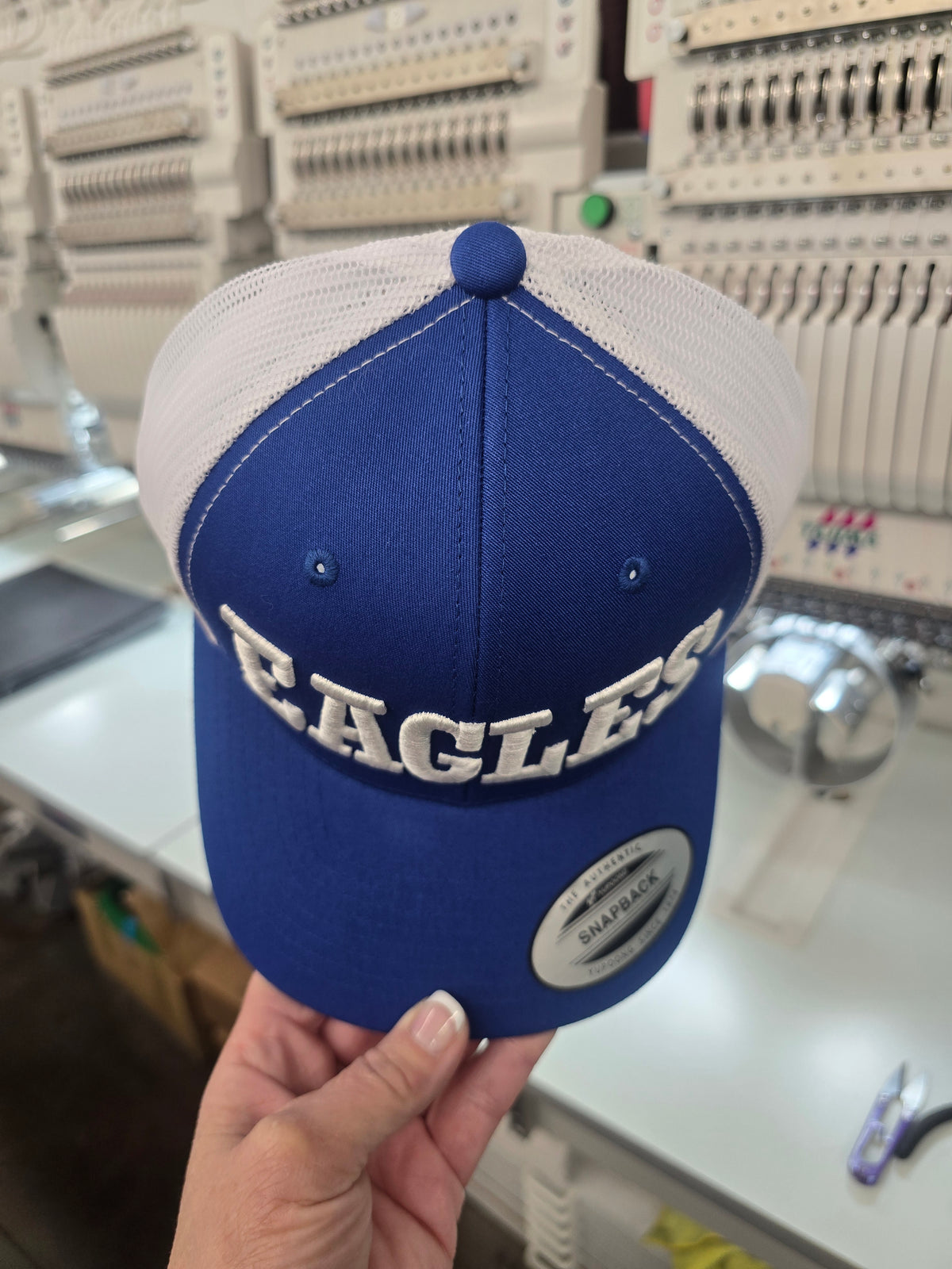 Eagles 3D hat